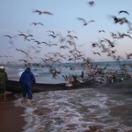 Villa Estrela Do Litoral House *