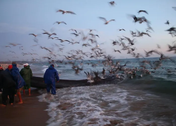 Villa Estrela Do Litoral House *